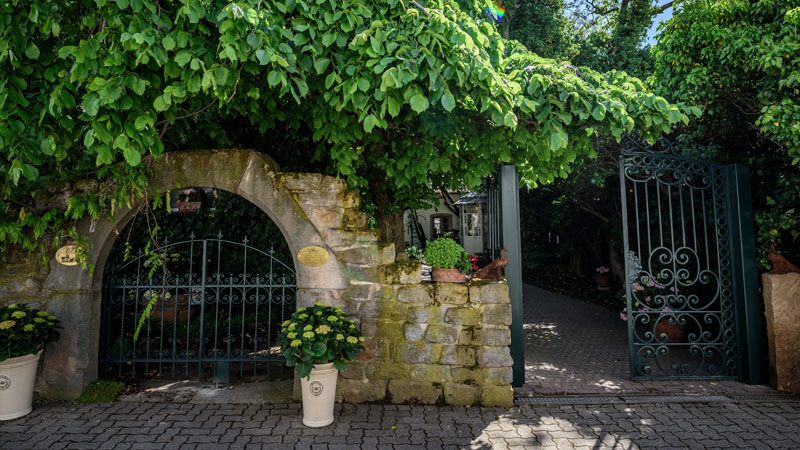 Learn About Vinegar Production at Weinessiggut Doktorenhof