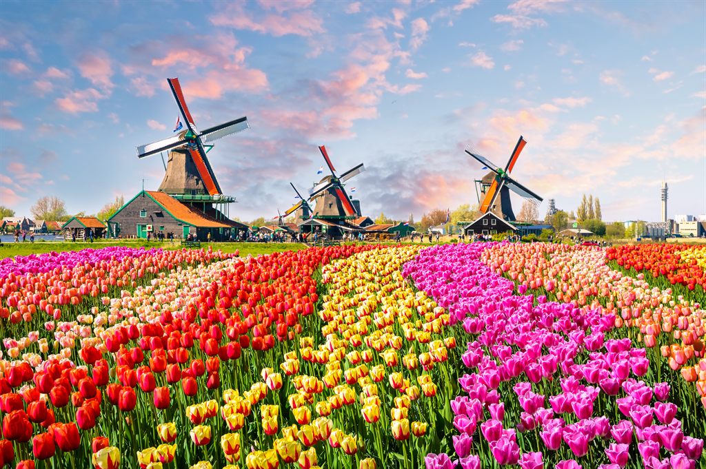 See the Tulips at Keukenhof Gardens