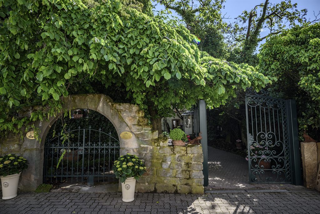 Learn About Vinegar Production at Weinessiggut Doktorenhof