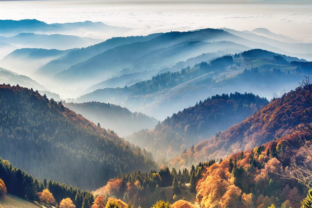 Experience Rural Life in the Black Forest