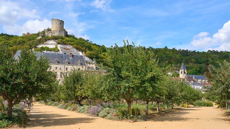 Visit Château de La Roche-Guyon and Gardens