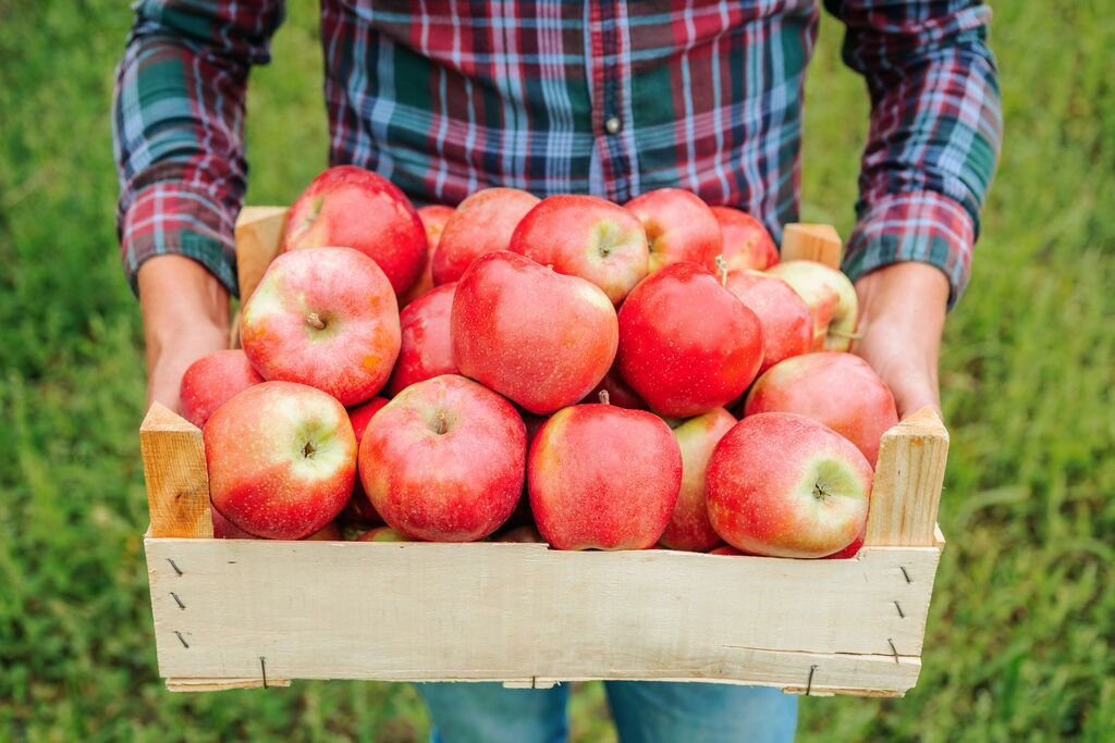 Visit a Cider Farm for Lunch