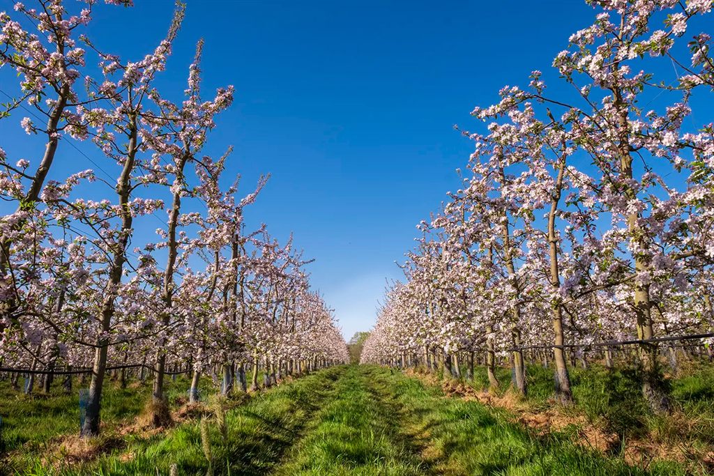 Cider and Sights in La Roche-Guyon