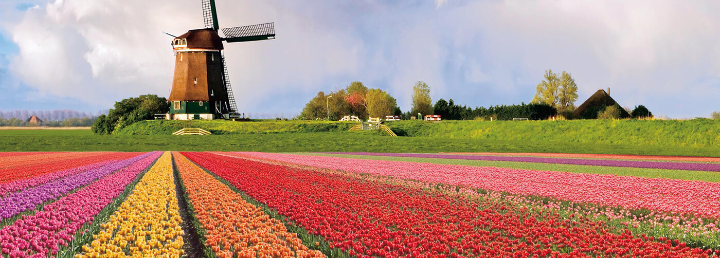 Uniworld Cruises Current Offer