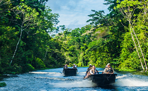 Peruvian Rivers & Rainforest Discovery