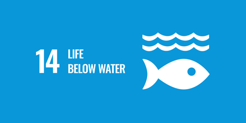 Life Below Water