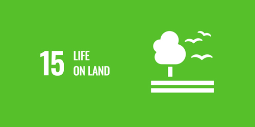 Life on Land