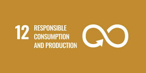 Responsible Consumption and Production