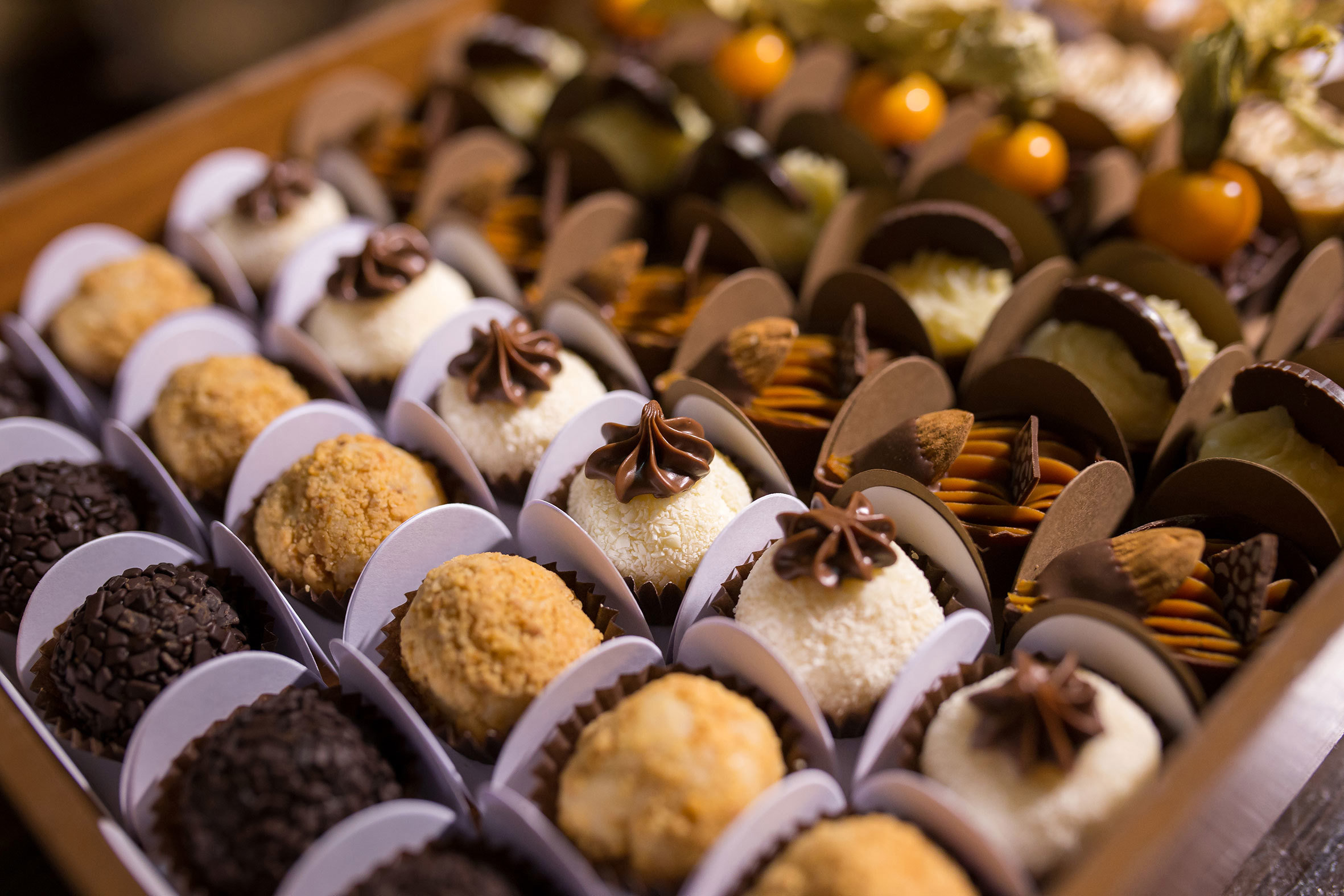 Curated Chocolate Tasting Experience at OCHO Chocolate