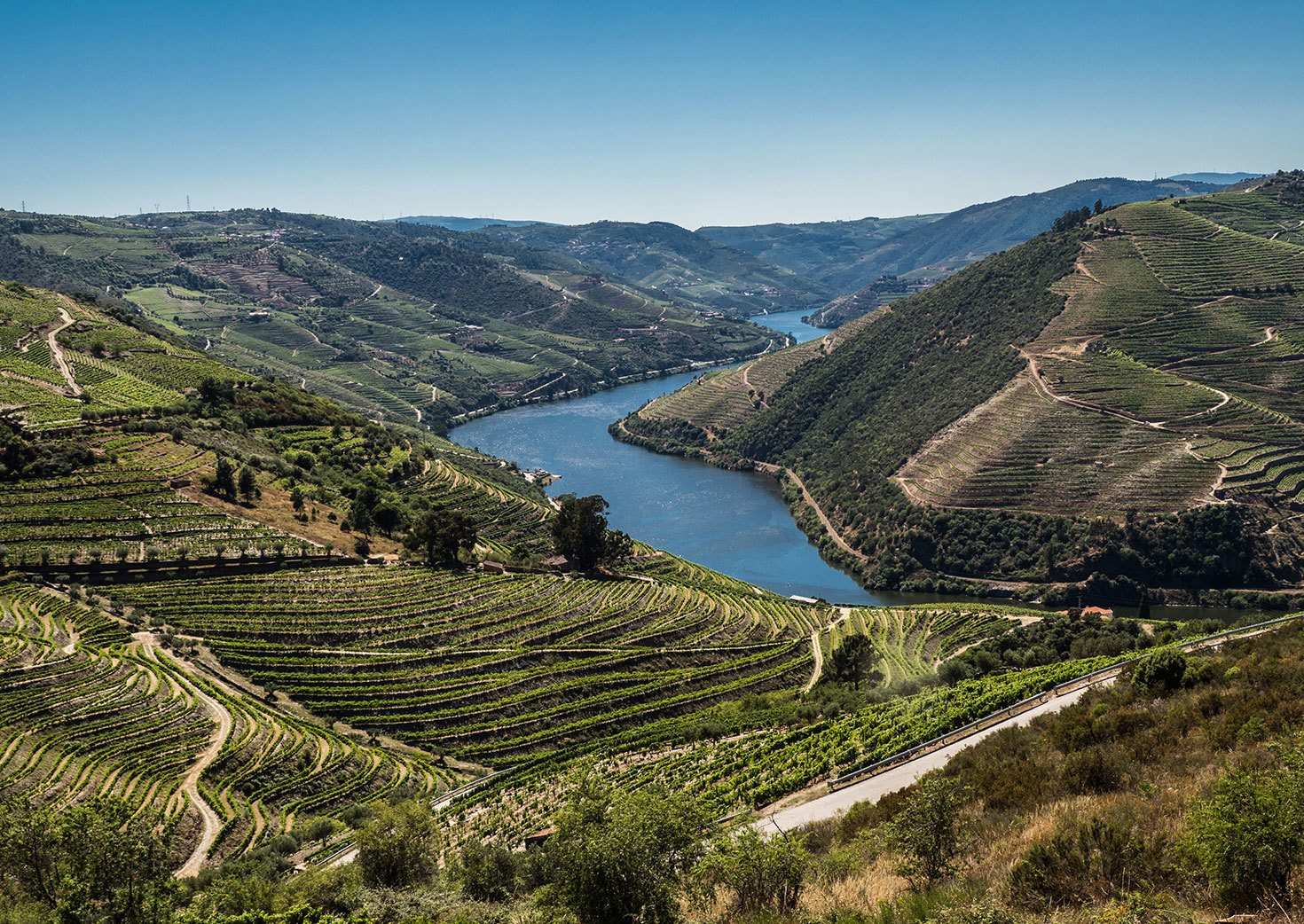 Douro Valley Scenic Drive