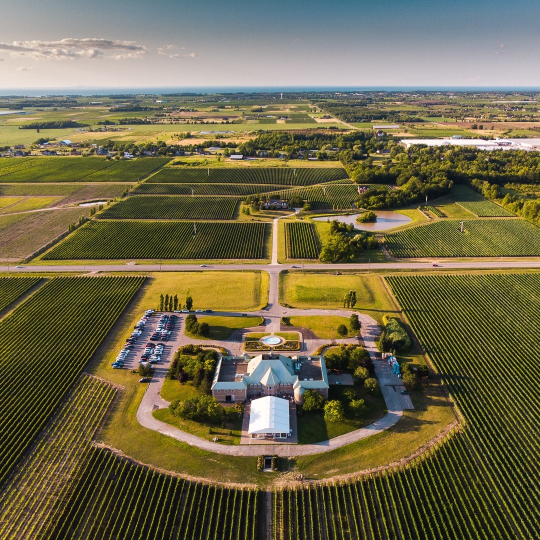 VIP Guided Tour and Wine Tasting at Château des Charmes 