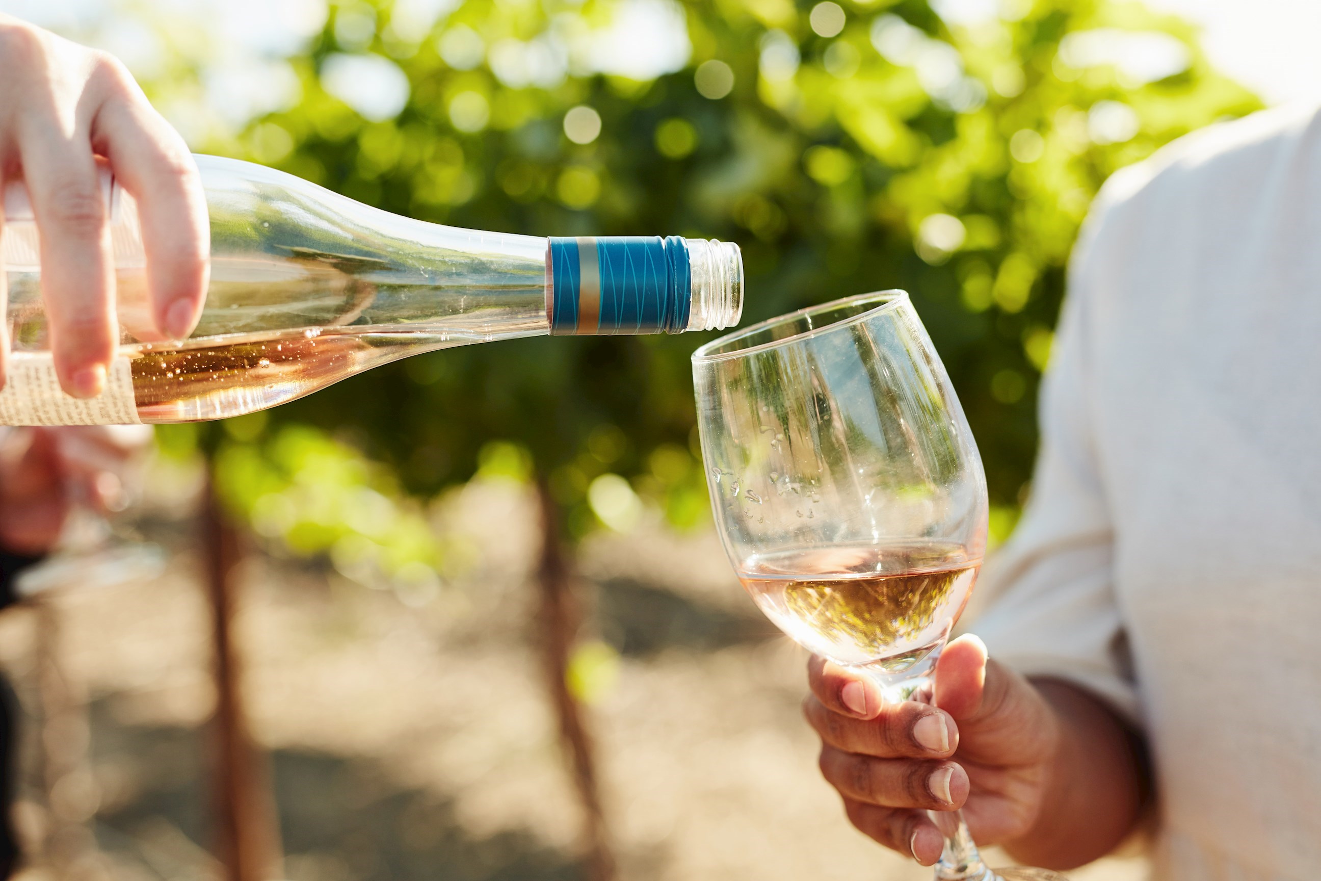 Vergelegen Estate Private Wine Tasting