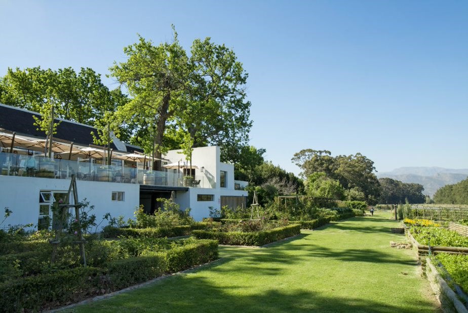 The Werf Restaurant Farm-to-Table Dinner