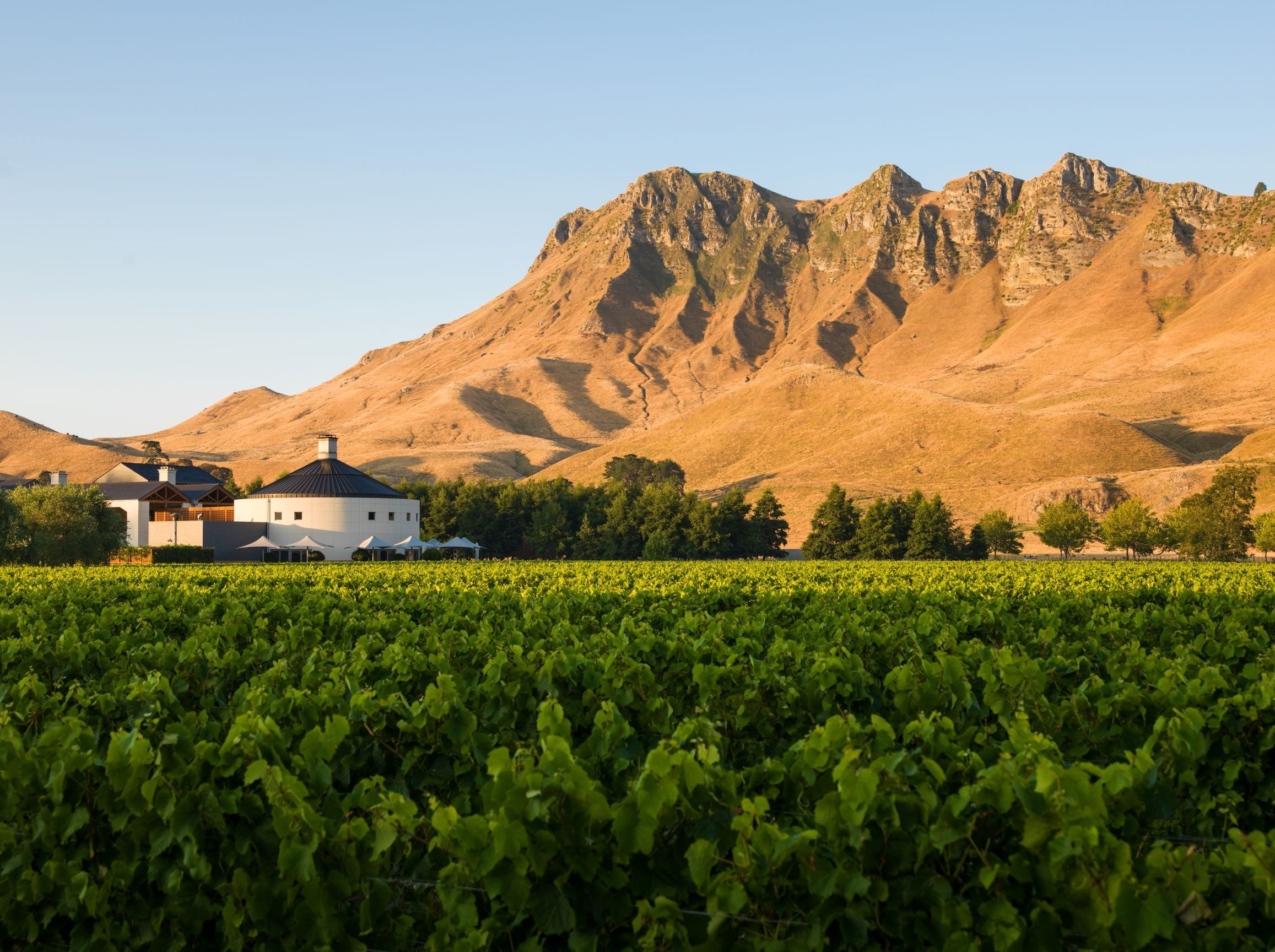 Hawke's Bay Craggy Range Winery Dinner with Wine Tasting