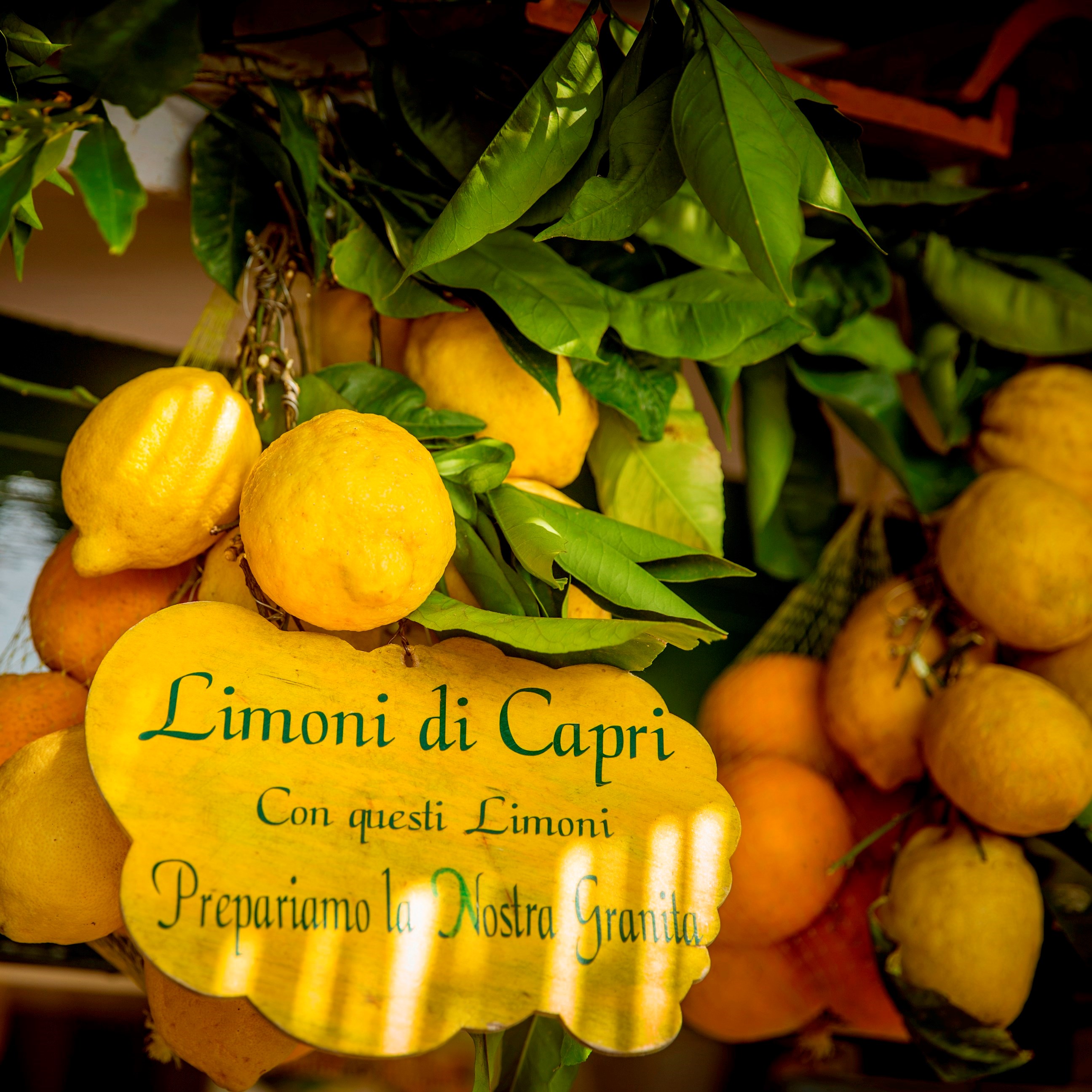 Isle of Capri Lemon Granita Tasting