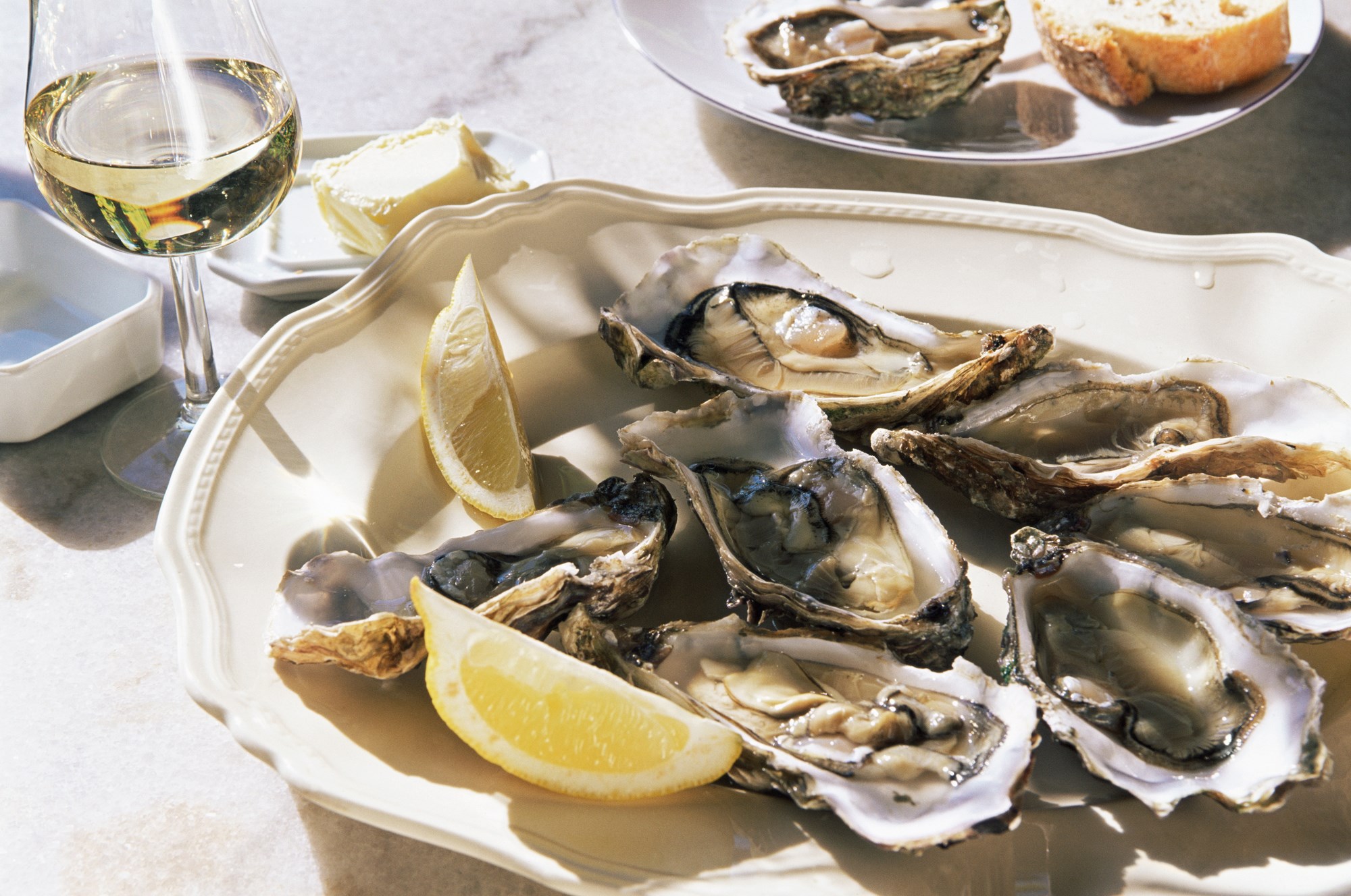 Ston Oyster Tasting