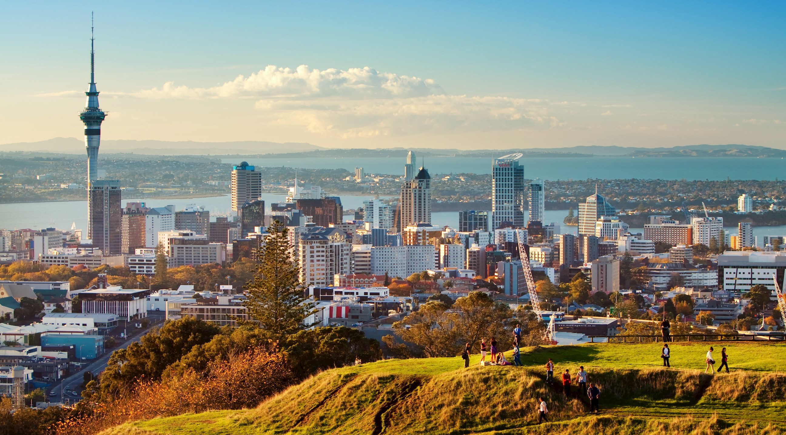 Auckland City Tour