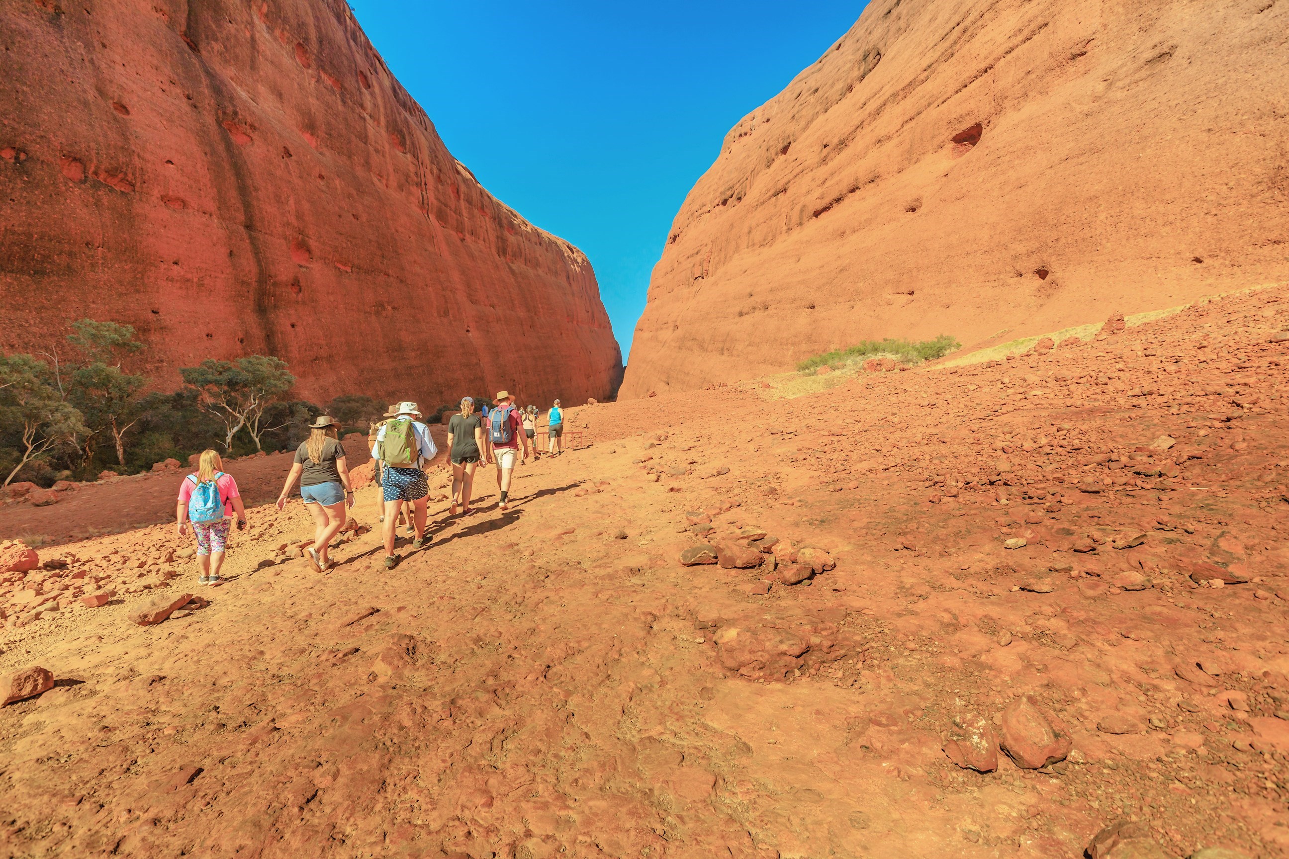 Walpa Gorge Guided Walk