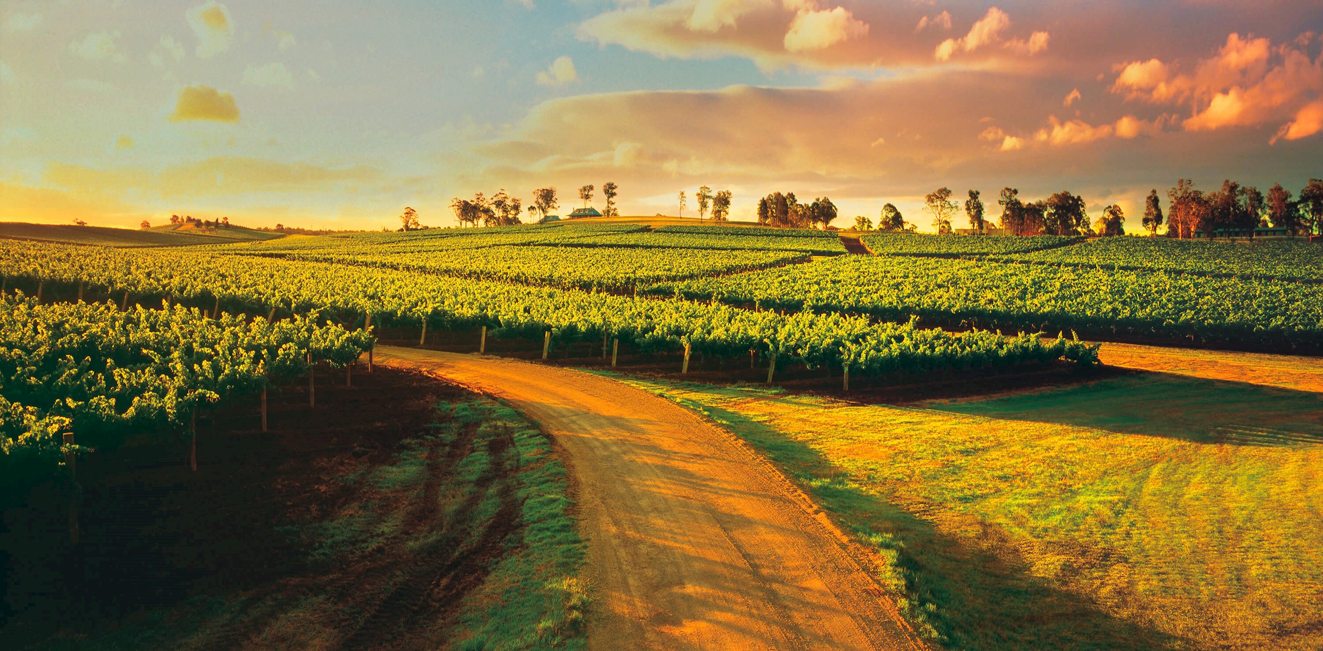 Hunter Valley Scenic Drive