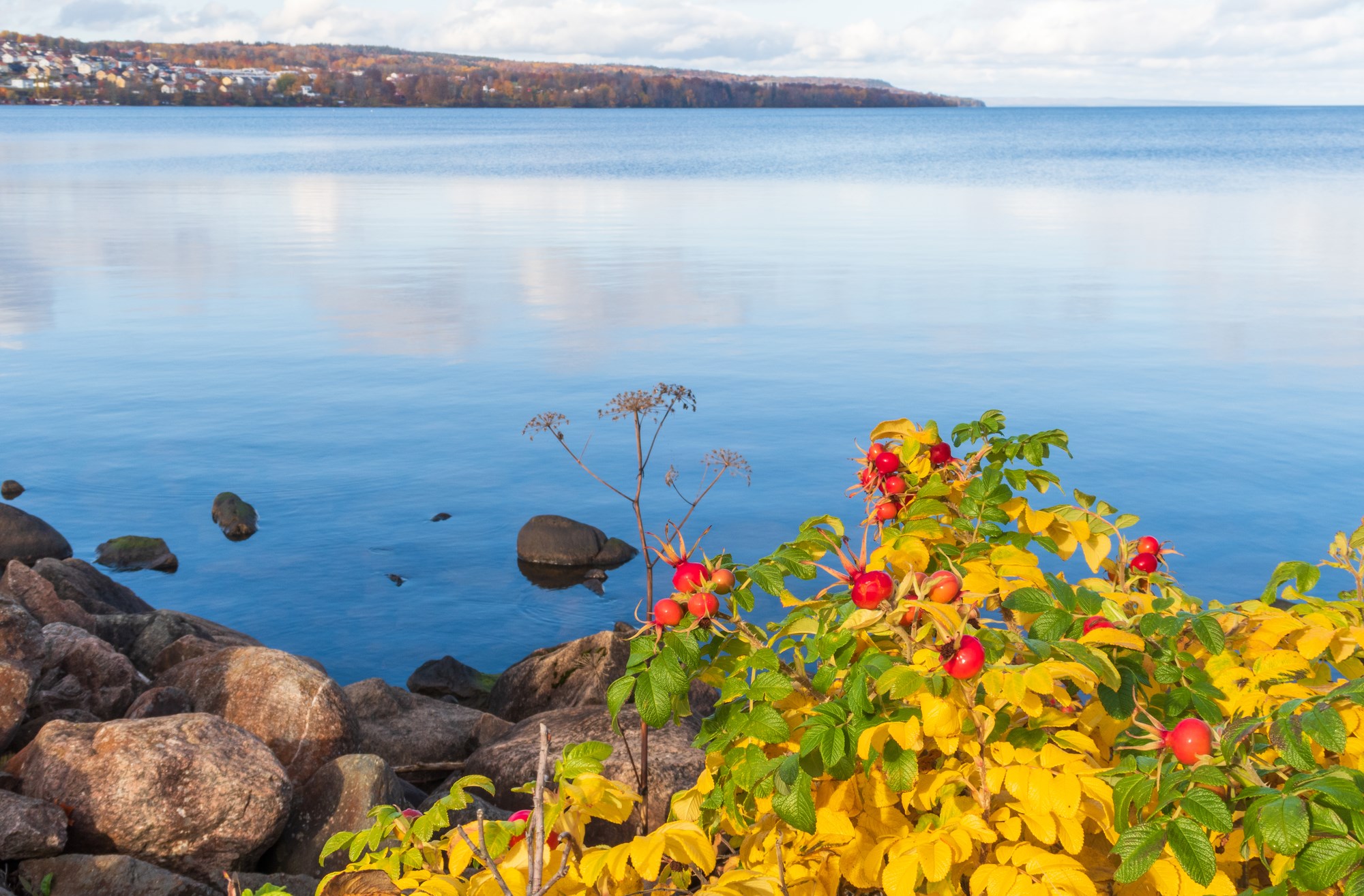 Vattern Lake Scenic Drive