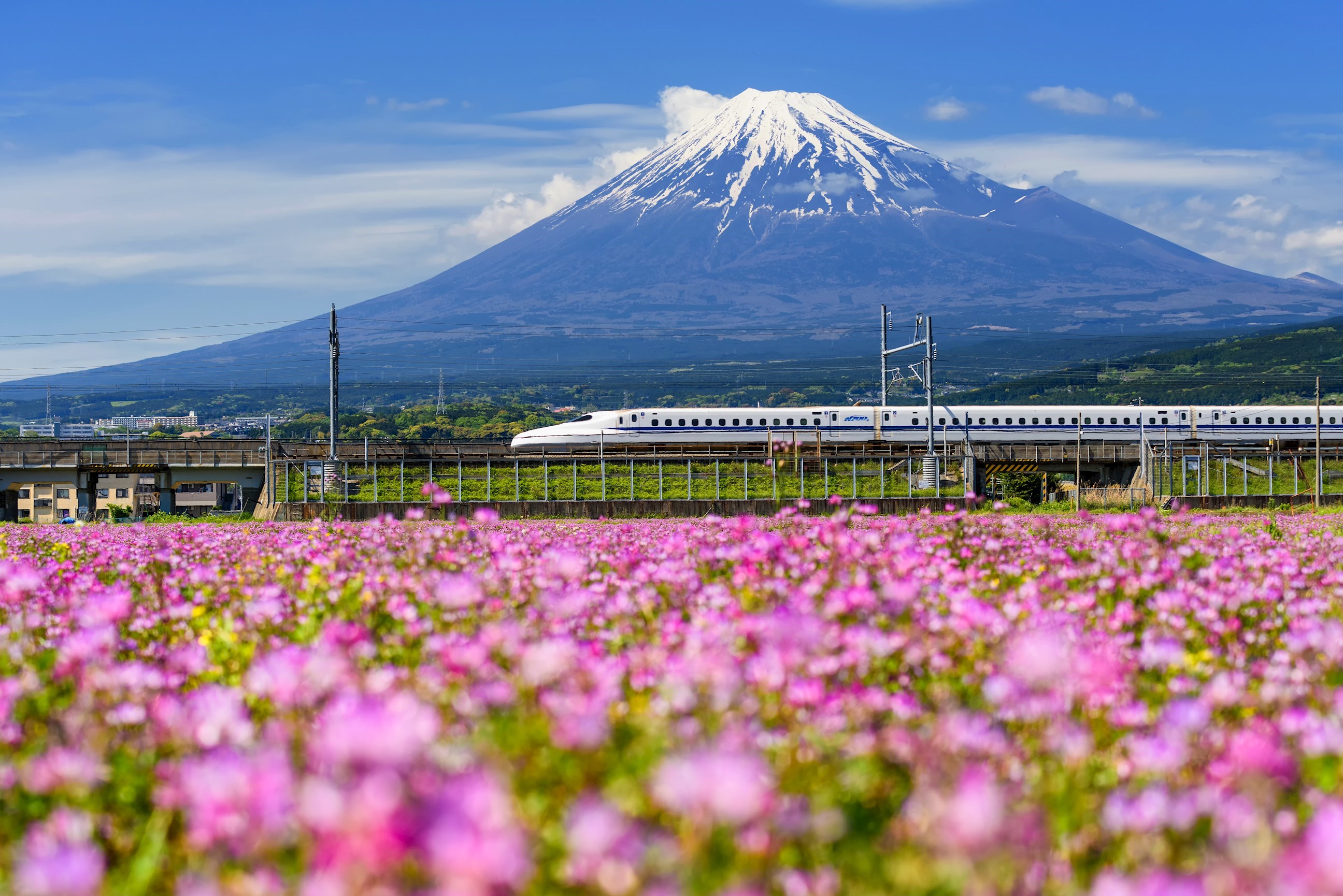 Japanese Scenic Bullet Train