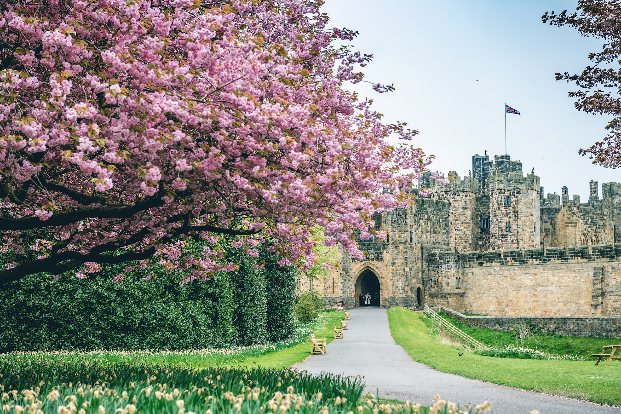 Alnwick Castle Visit