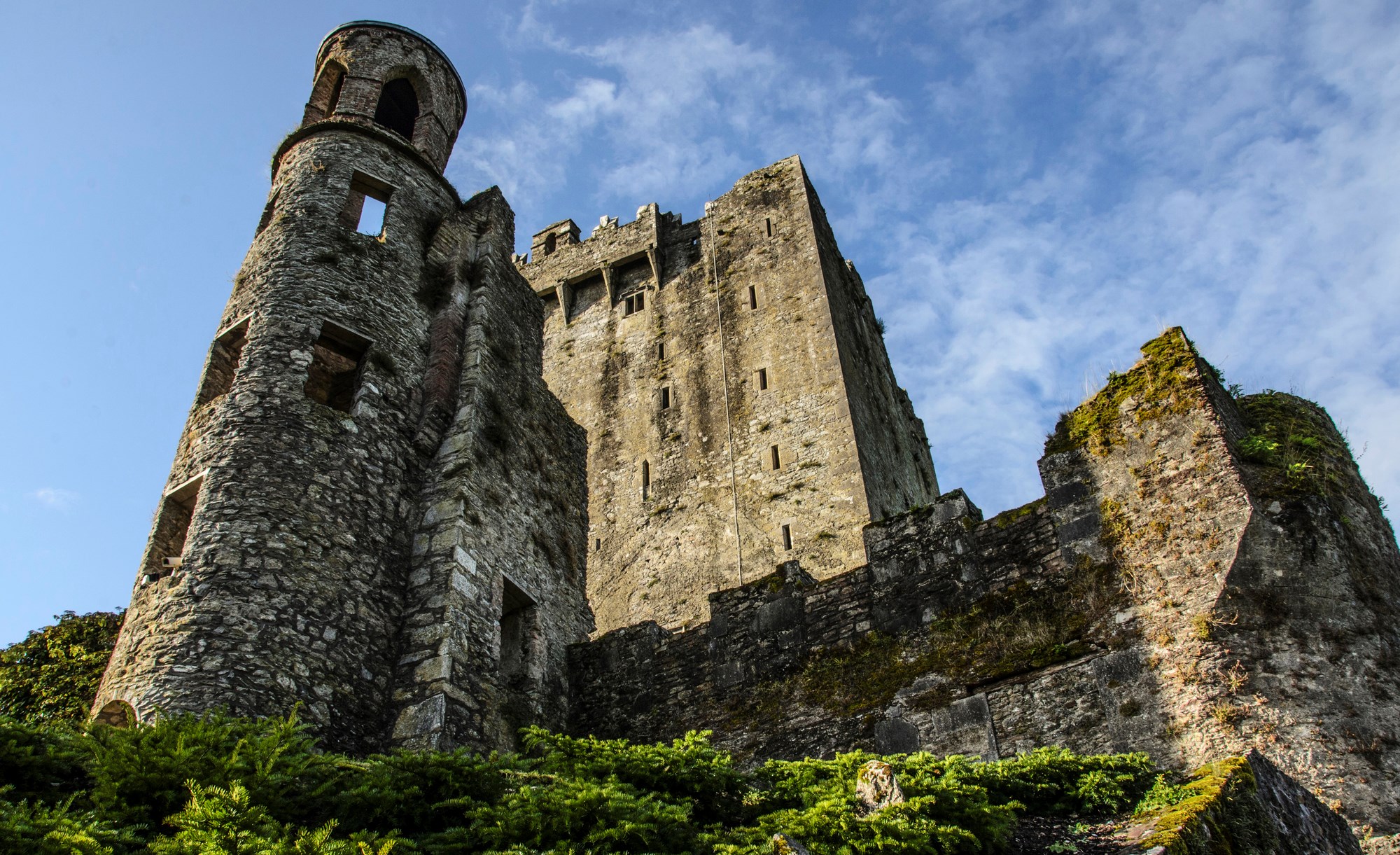 Blarney Castle Visit