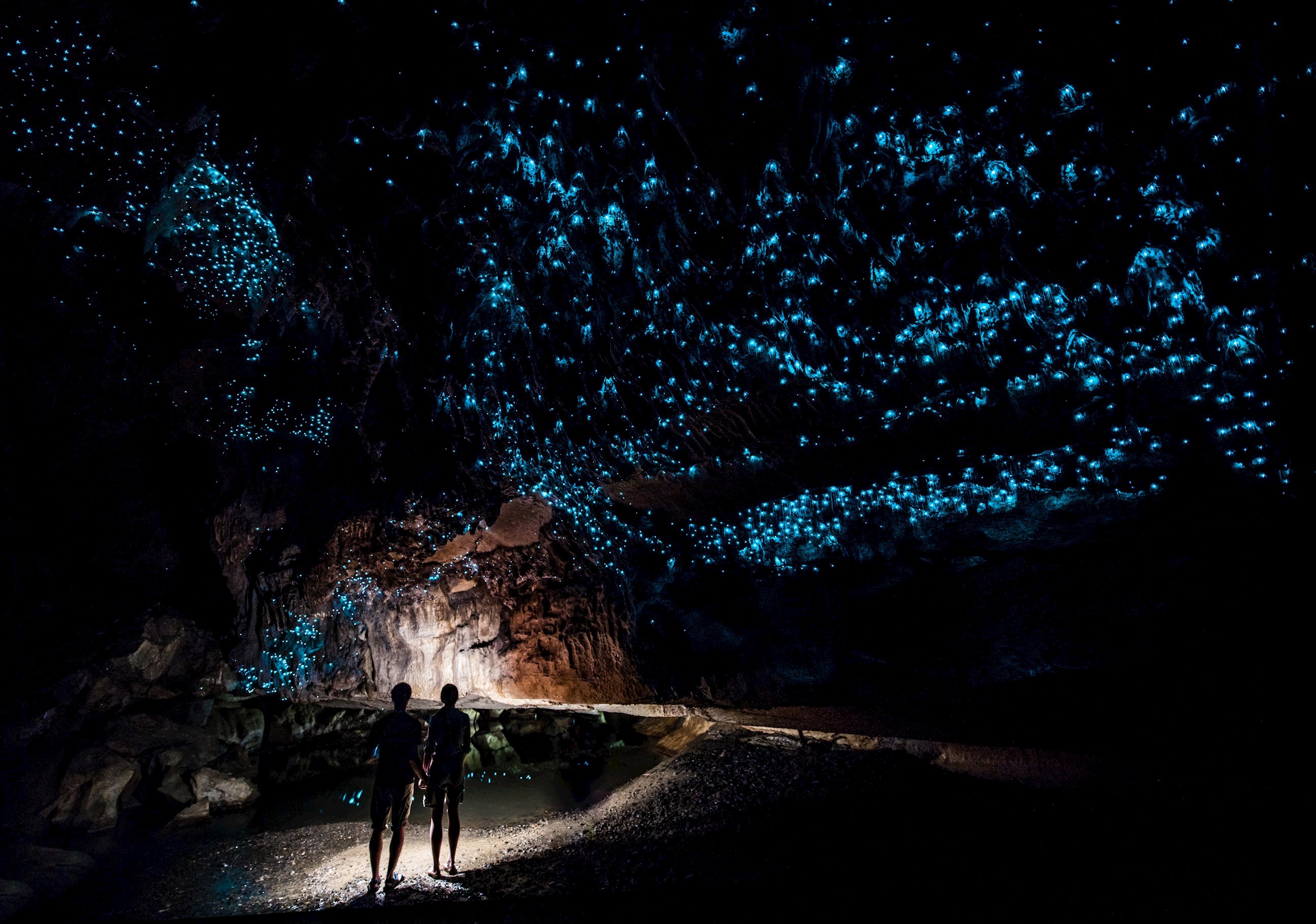 Footwhistle Glowworm Cave Private Tour 