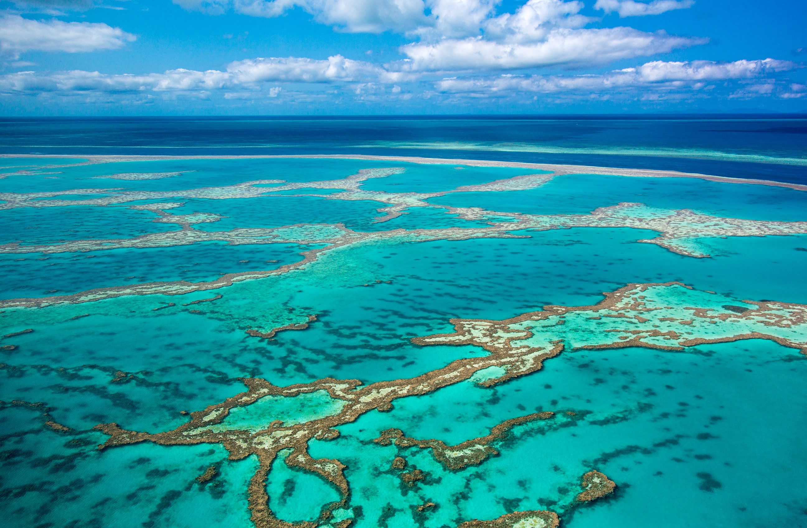 Cruise to the Great Barrier Reef