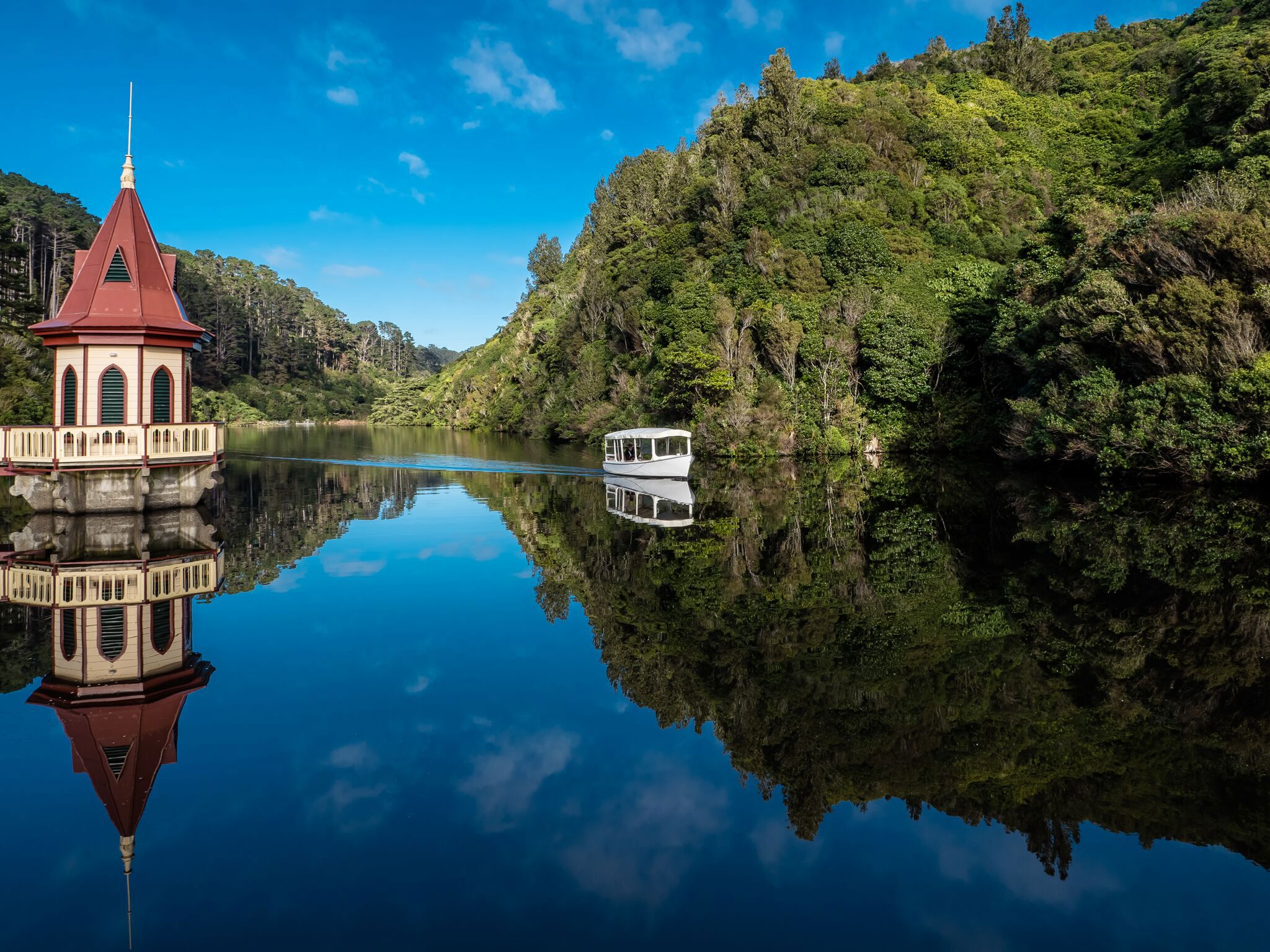 The Urban Eco-sanctuary of Zealandia Te Māra a Tāne