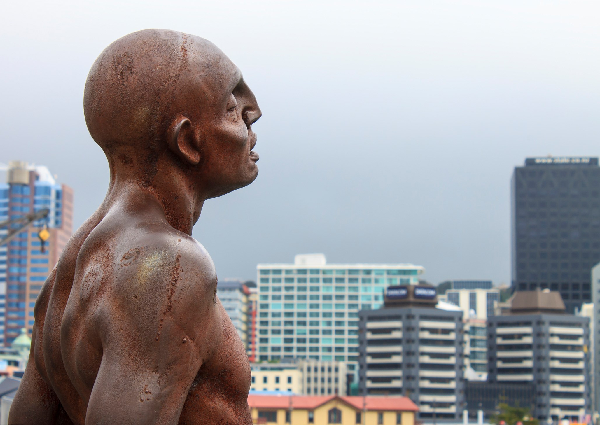 Wellington City Tour