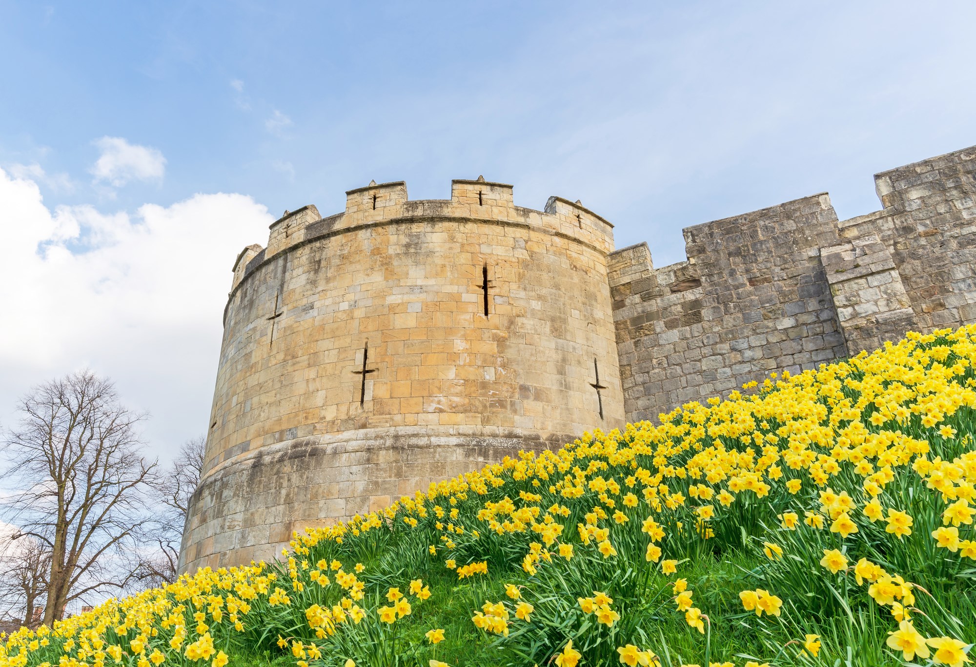 York City Walls Walk