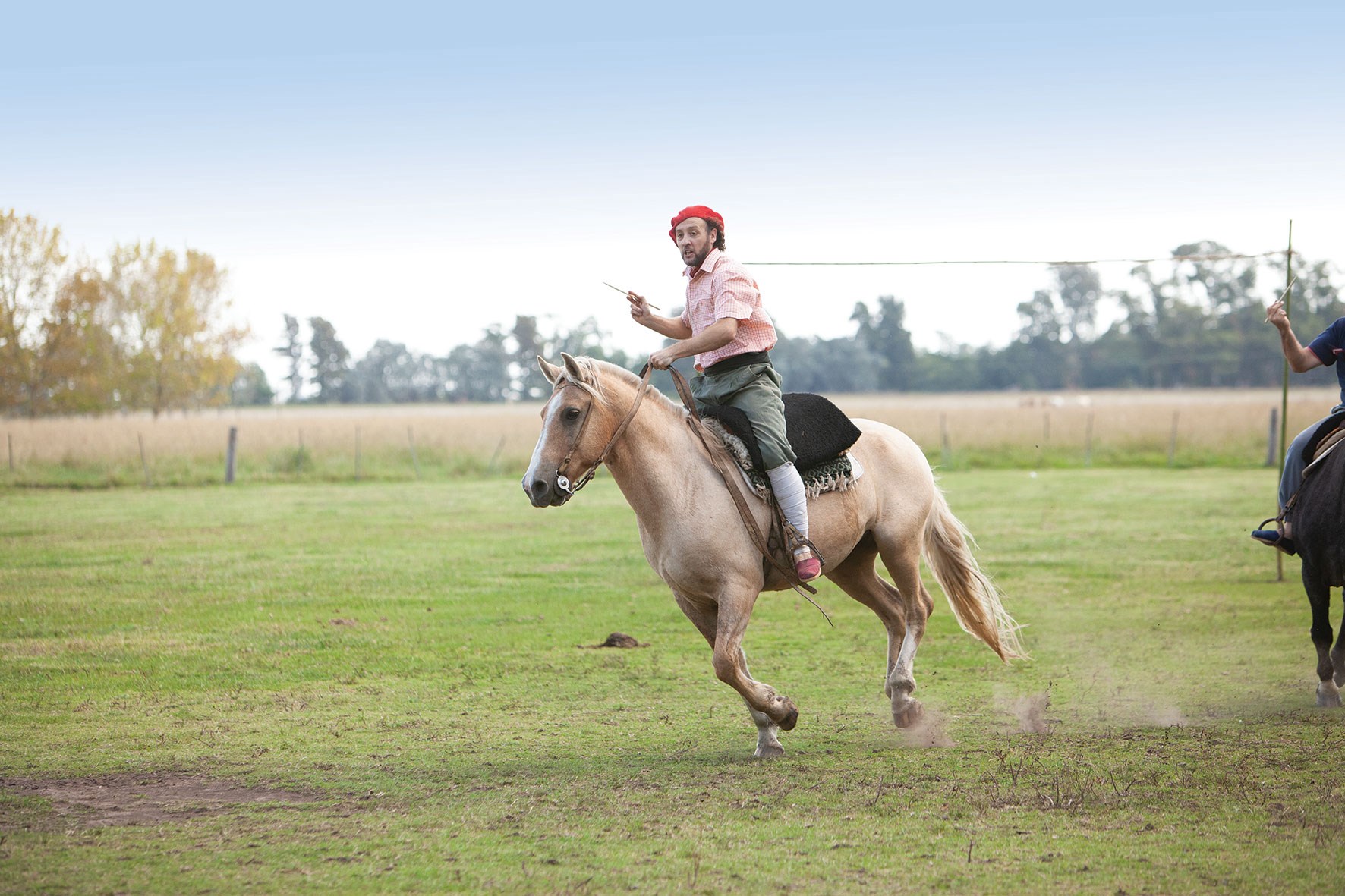Pampas, Estancias and Gauchos