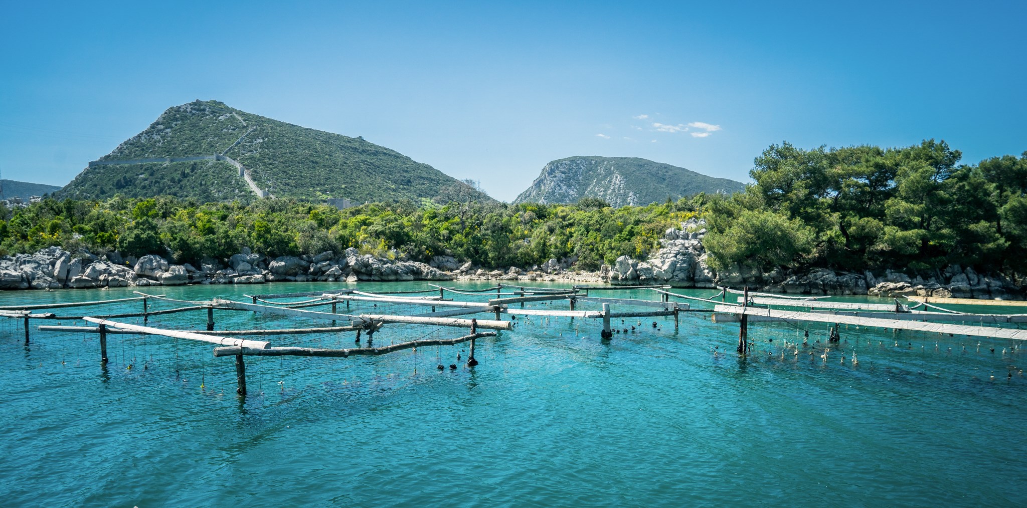 Oyster Tasting and Dubrovnik