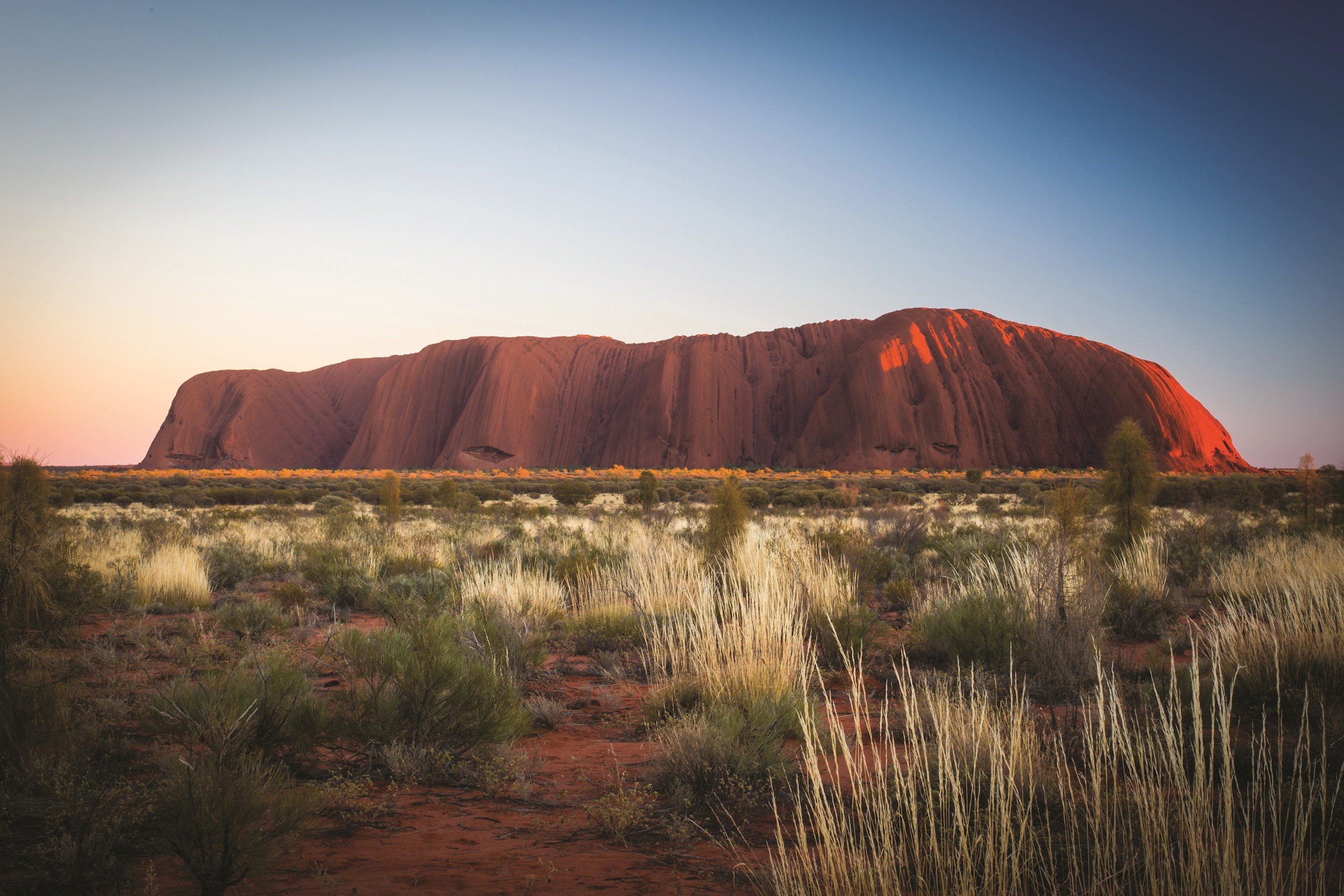Into the Outback