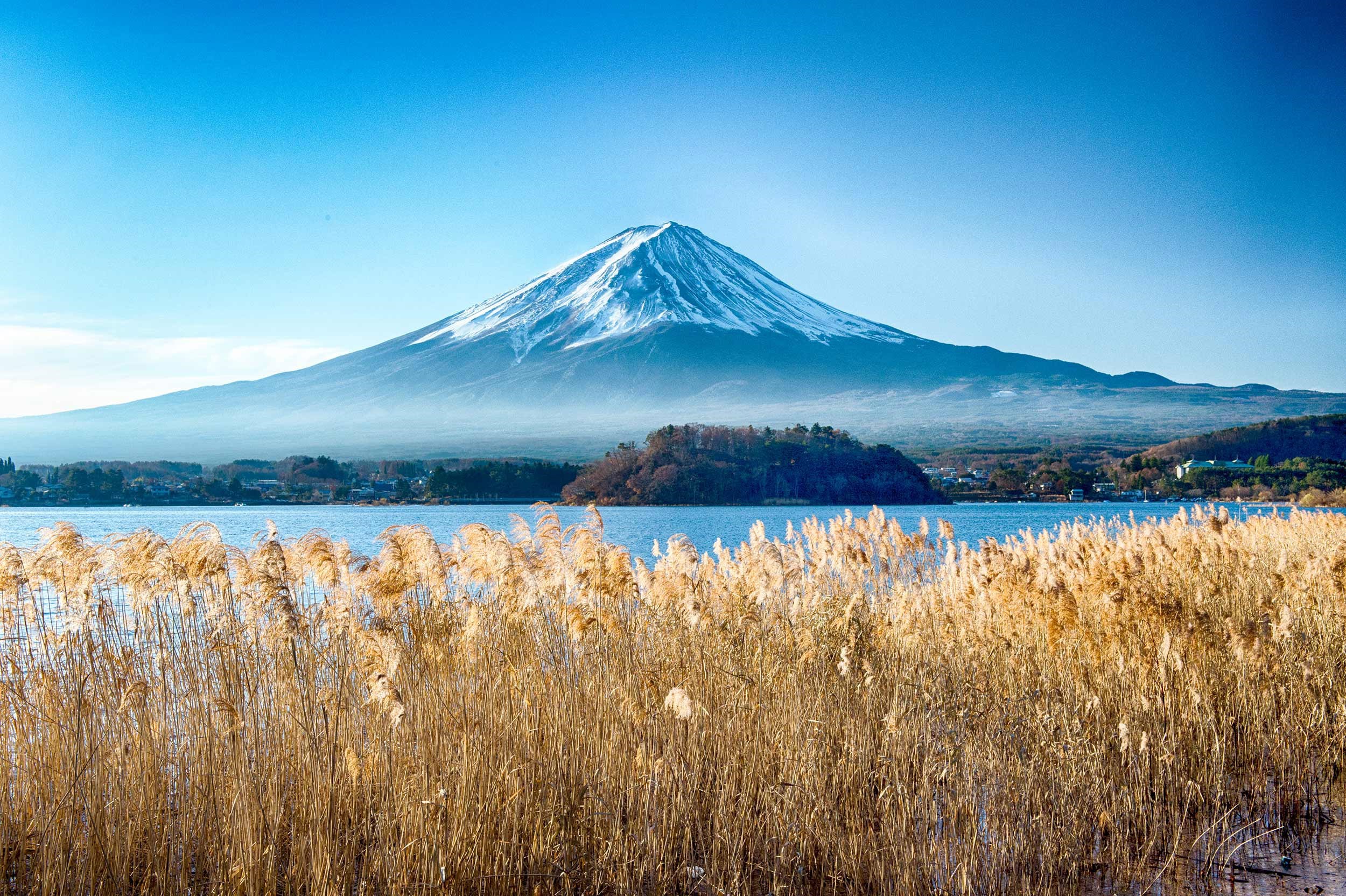 Japan’s Natural Treasures