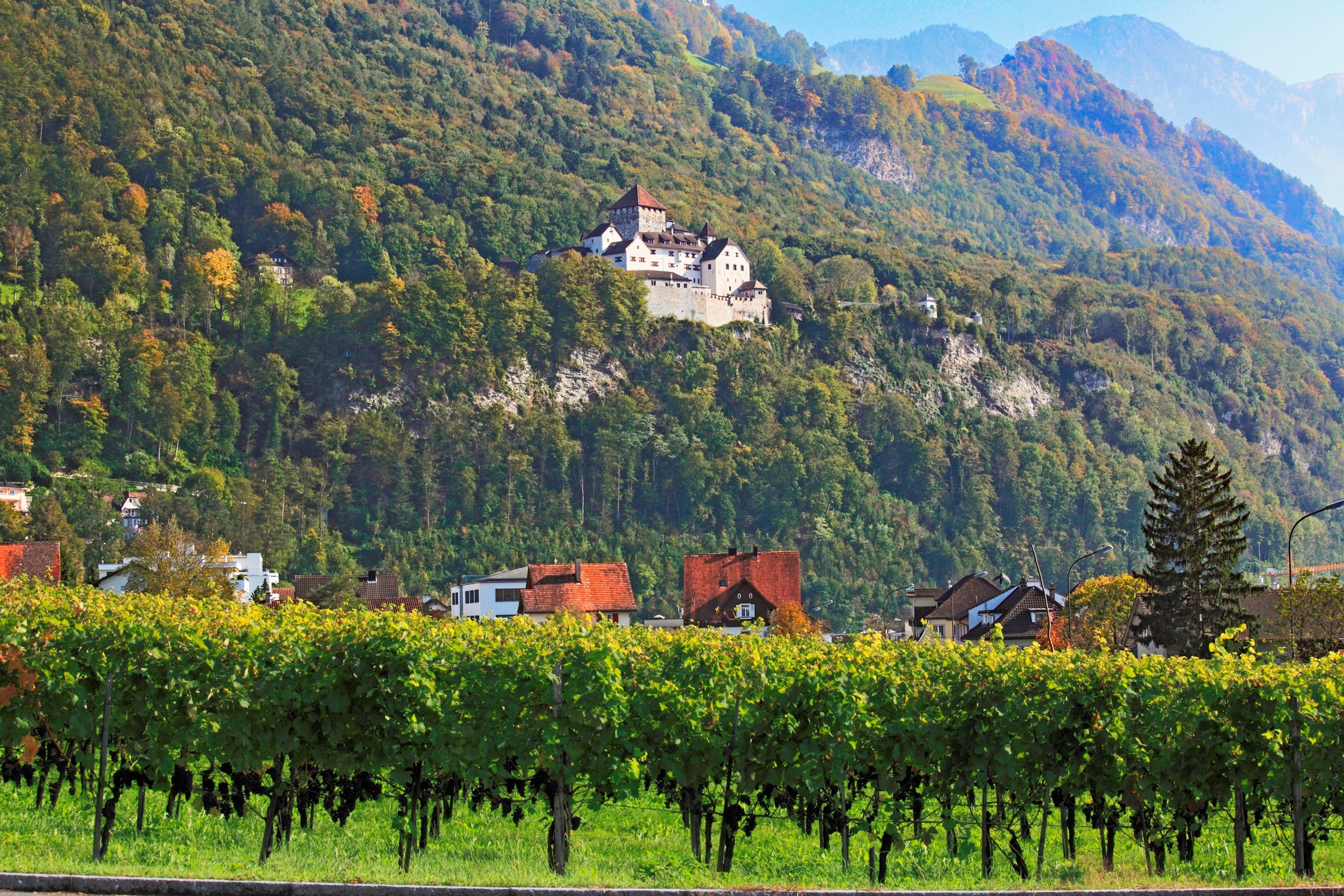 Vaduz and Lucerne