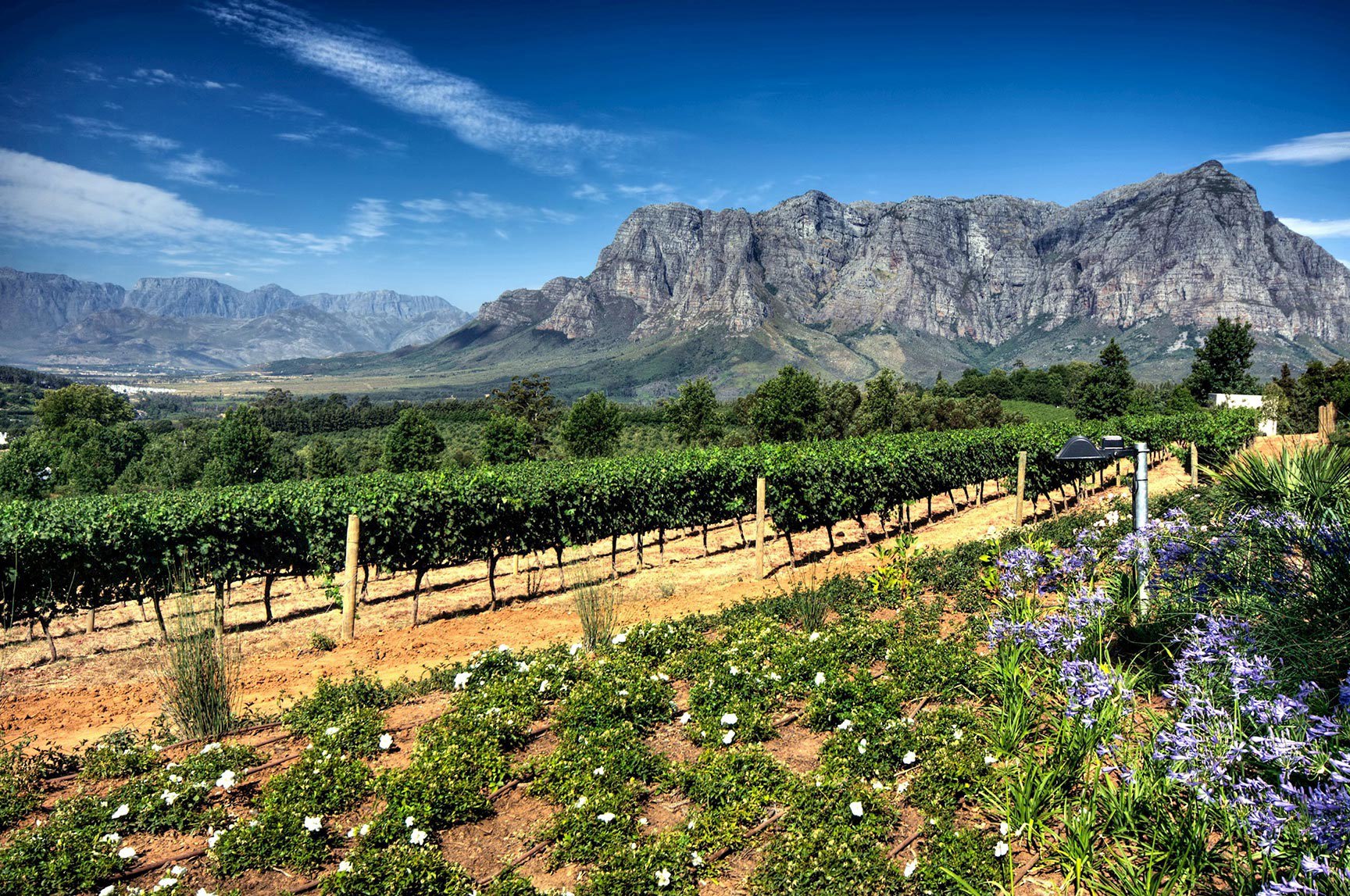 Historic Cape Winelands