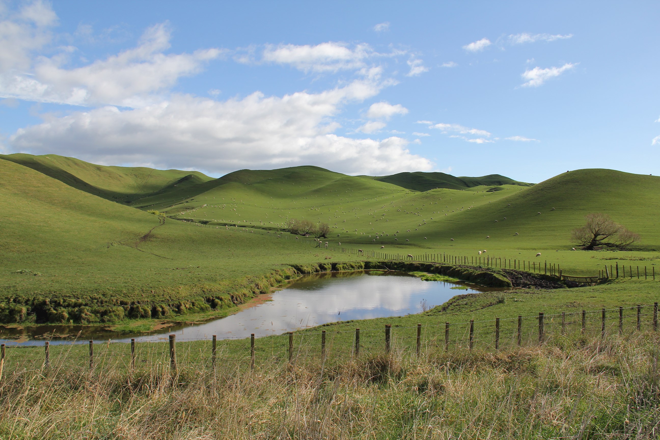 Wellington to Hawke's Bay