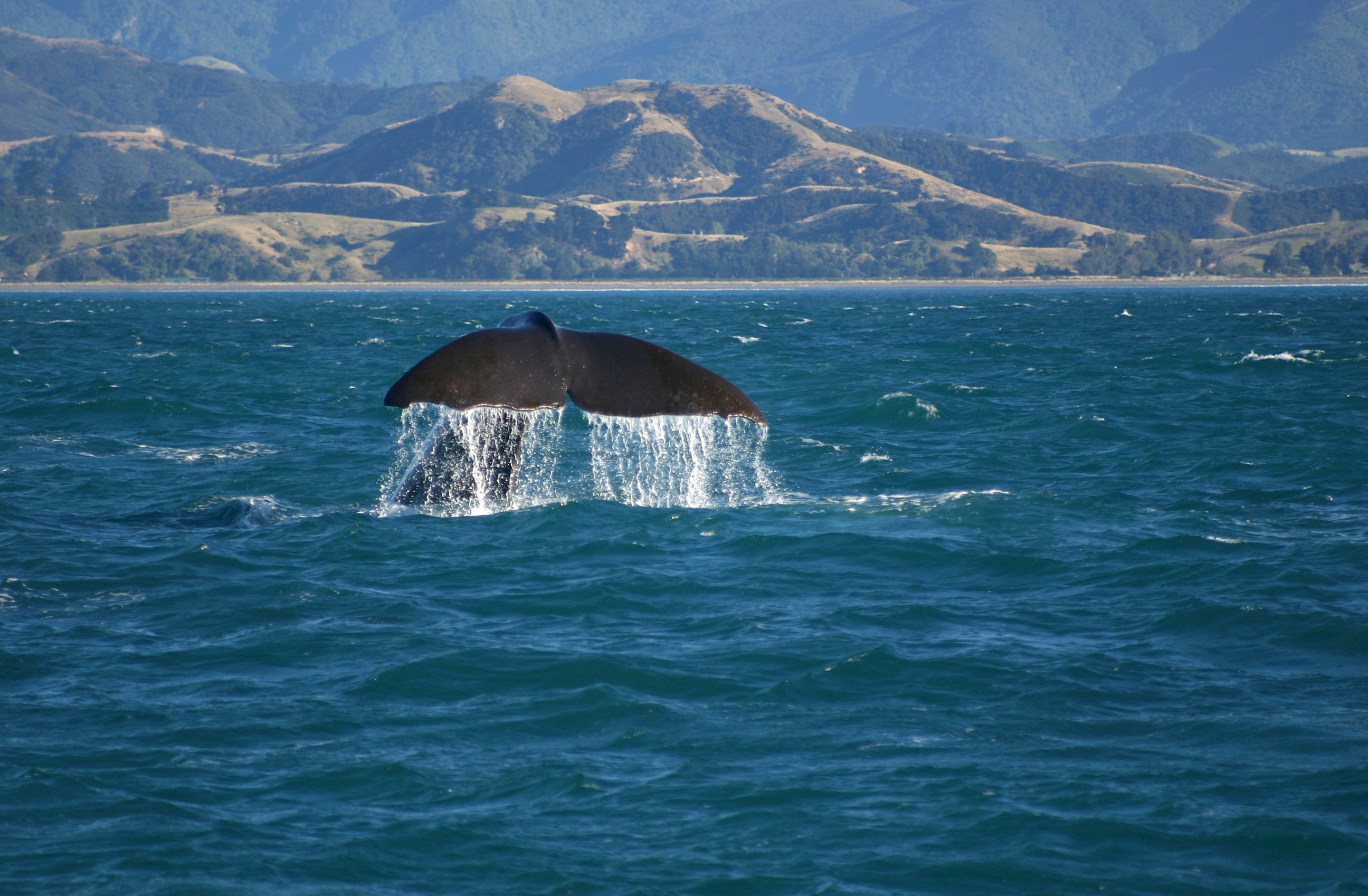 Christchurch to Wellington