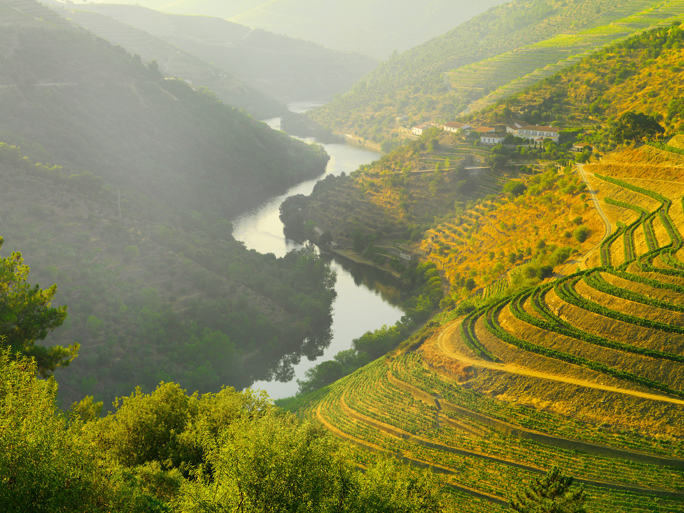 Douro Valley