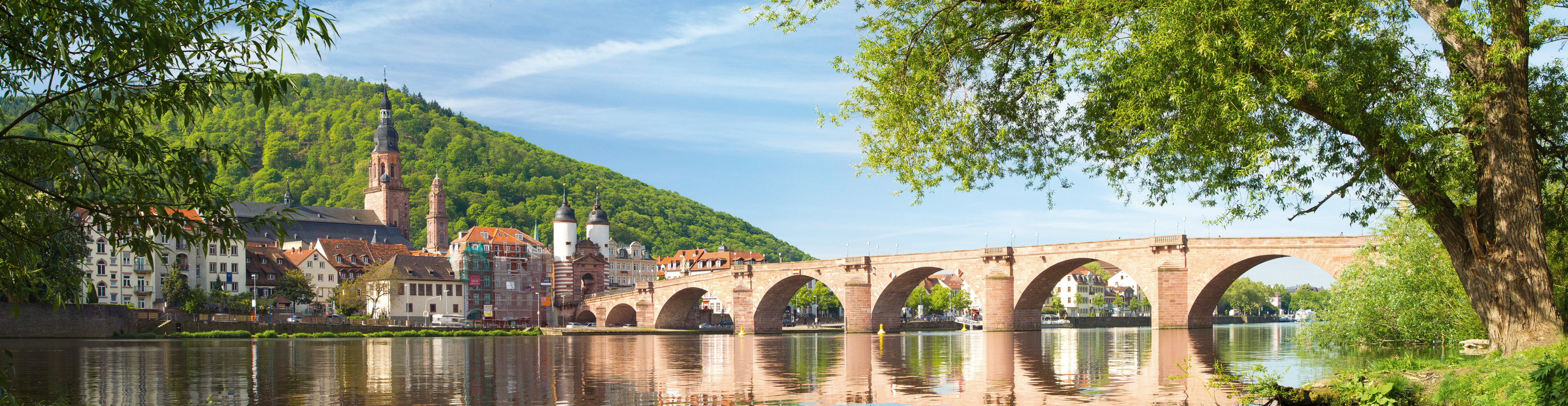 Bridge Heidelberg Germany