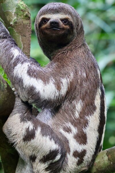 Peru
