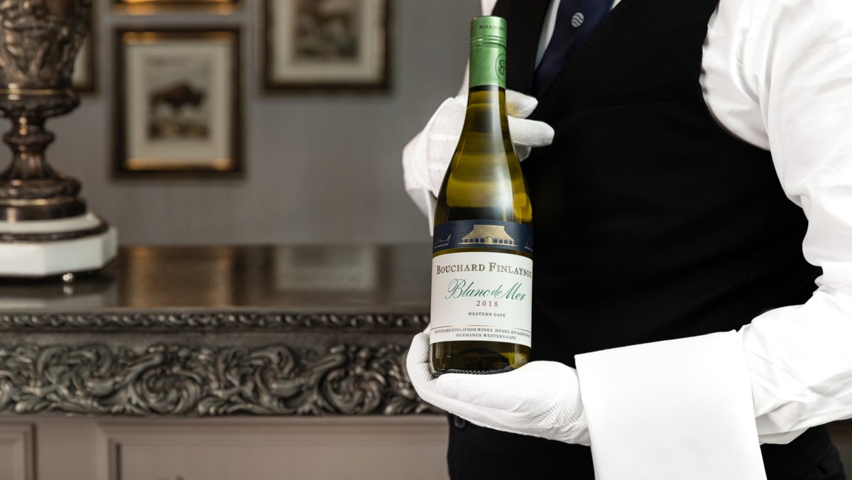 My Crash Course on Wine