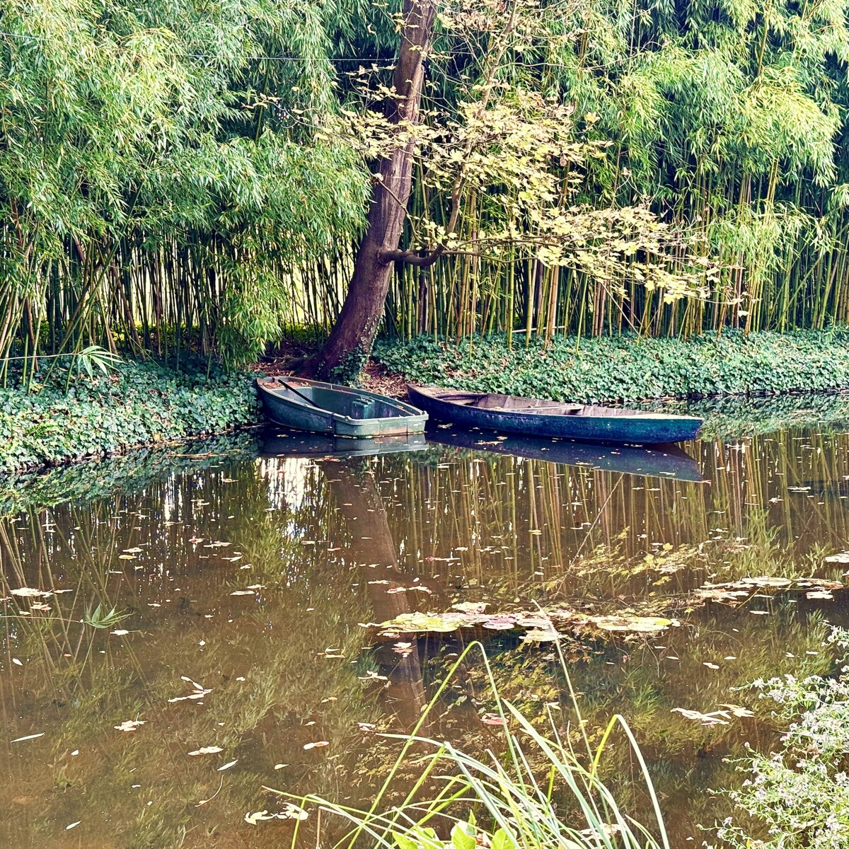 Monet’s World at Giverny: A Riot of Color