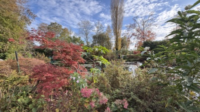 A Riot of Color