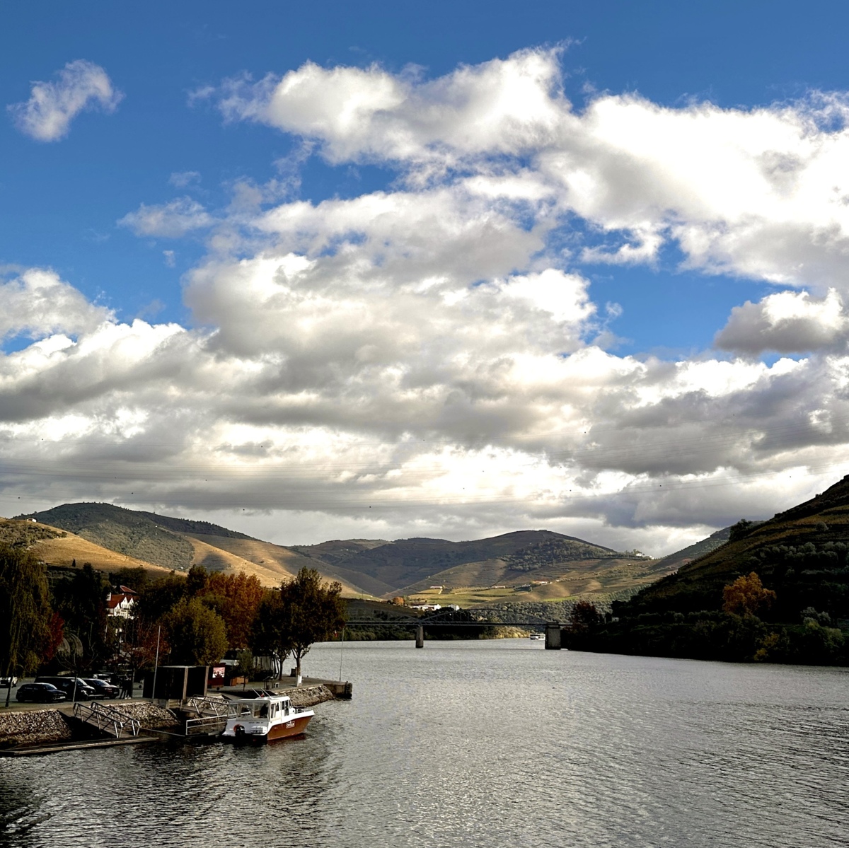 Guest Story: Spending Fall on the Douro