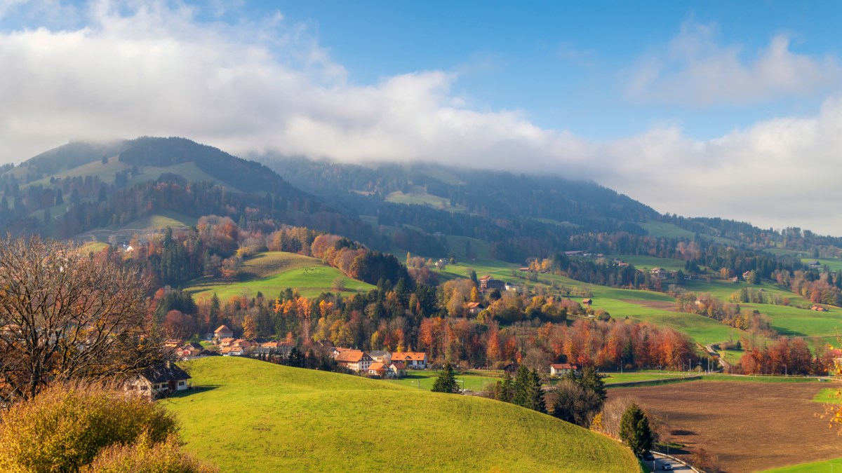 Cruise & Tour: Delight in Switzerland & the Rhine