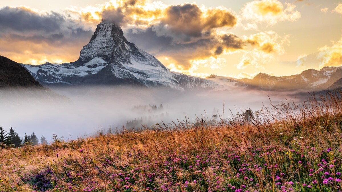 Cruise & Tour: Delight in Switzerland & the Rhine