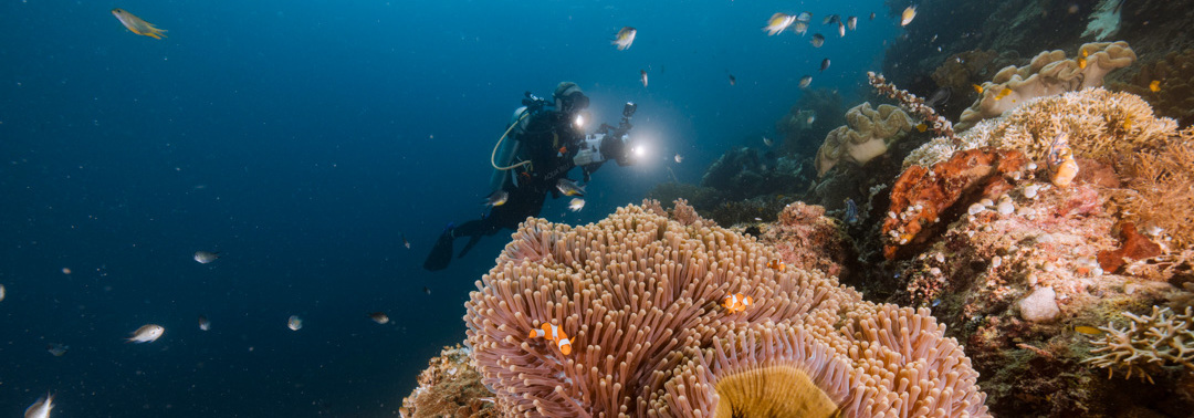 Q&A: Indonesia & the Aqua Blu
